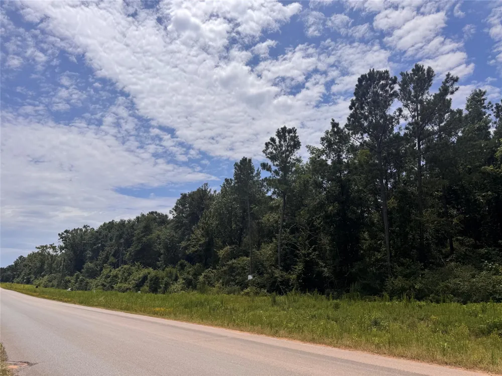 11514 Inspiration Drive Willis, TX 77378