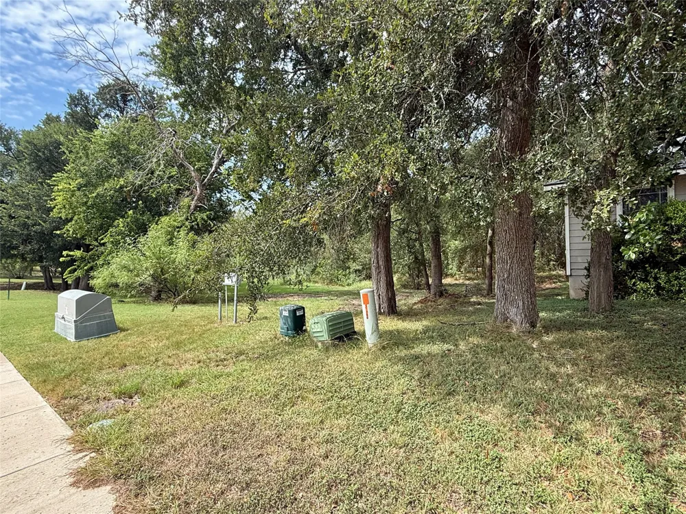 13100 Winecup Mallow Trail Elgin, TX 78621