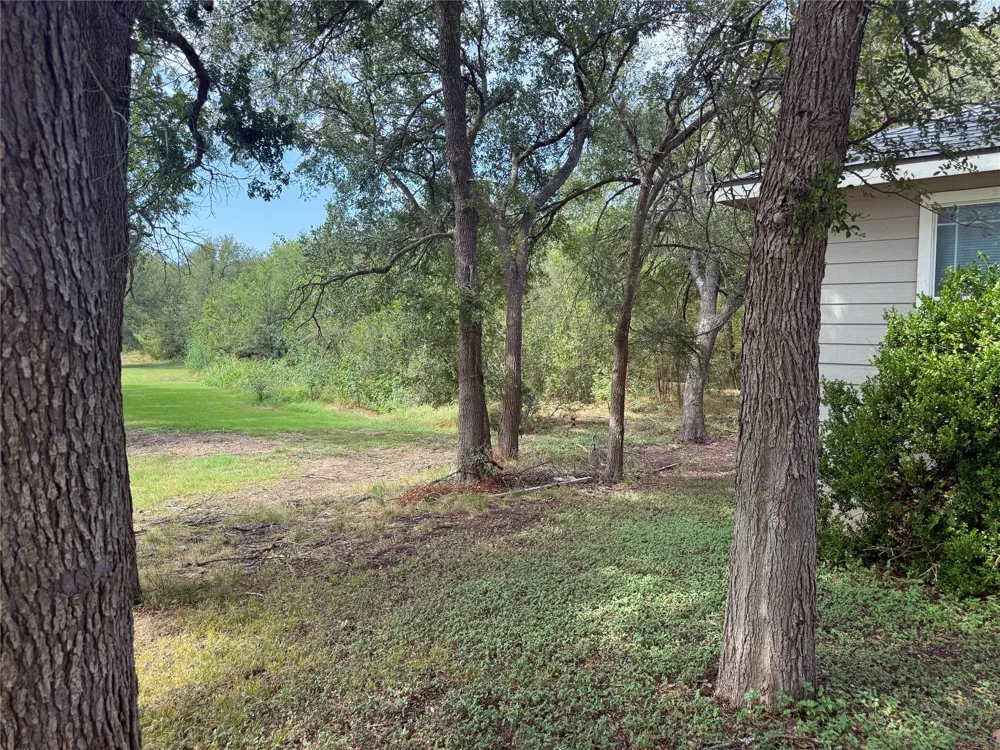 13100 Winecup Mallow Trail Elgin, TX 78621