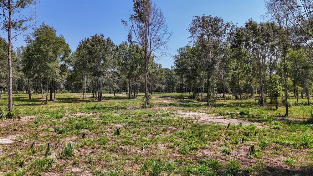 1977 County Road 105 Devers, TX 77538