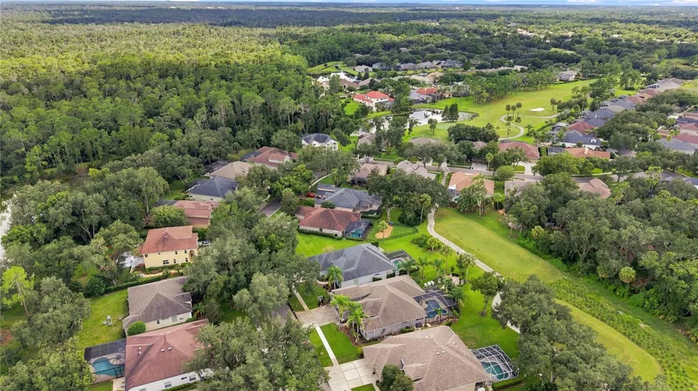 5924 CHERRY OAK DRIVE Valrico, FL 33596
