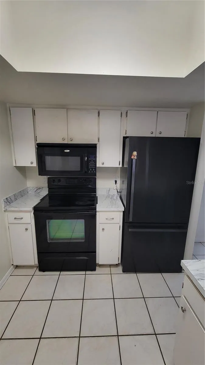 701 E ORCHID AVENUE Tampa, FL 33612