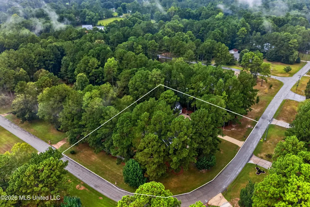 207 Longleaf Drive Petal, MS 39465