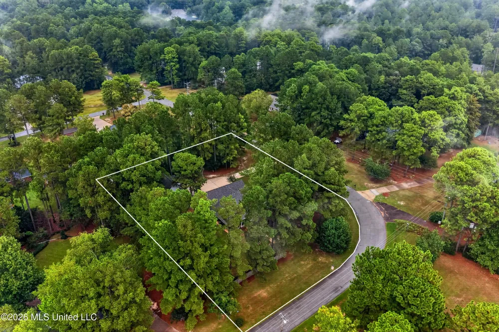 207 Longleaf Drive Petal, MS 39465