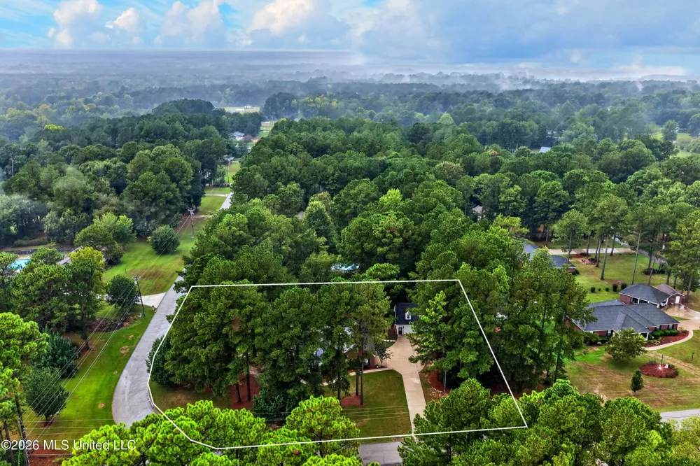 207 Longleaf Drive Petal, MS 39465