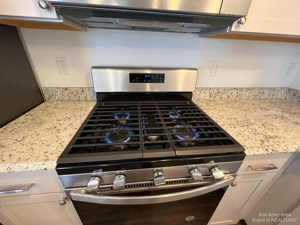 10284 Swan Lake Circle Ypsilanti, MI 48197