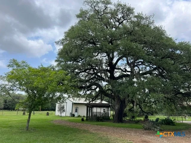 1037 Noll Road Meyersville, TX 77974