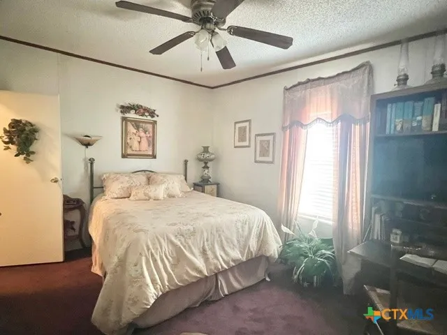 1037 Noll Road Meyersville, TX 77974