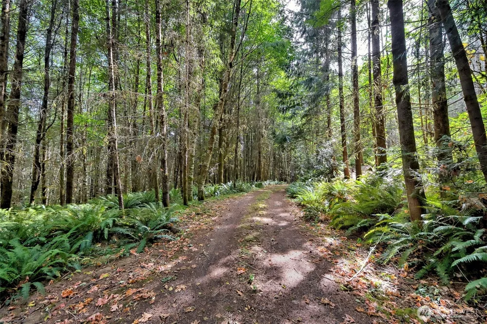 1010 SE Binns Swiger Loop Road Shelton, WA 98584