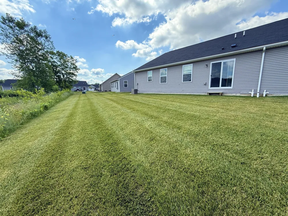 10284 Swan Lake Circle Ypsilanti Charter Township, MI 48197