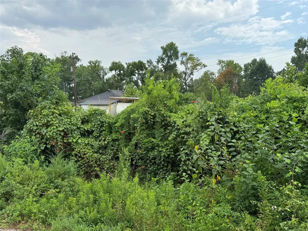 Marwood Drive Hockley, TX 77396