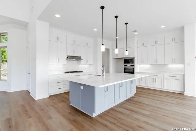 359 MUSE DR Spring Branch, TX 78070