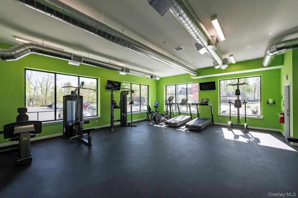 87 Chestnut Street #101 New Paltz, NY 12561