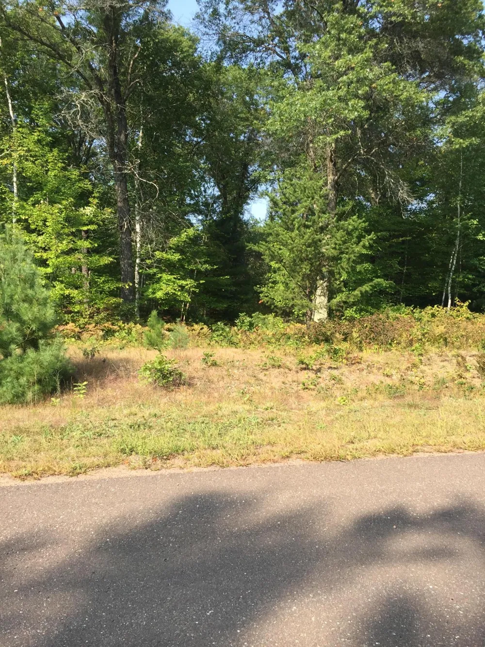 Lot 28 Shady Lane Siren, WI 54872