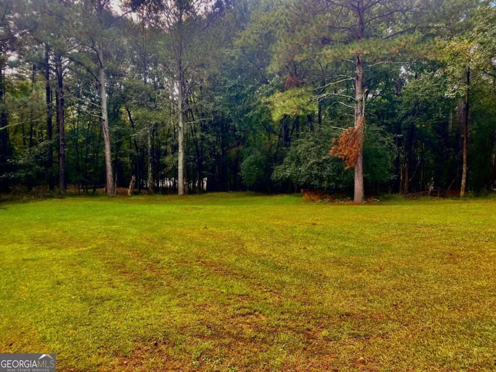 290 Poplar Creek RD Stephens, GA 30667