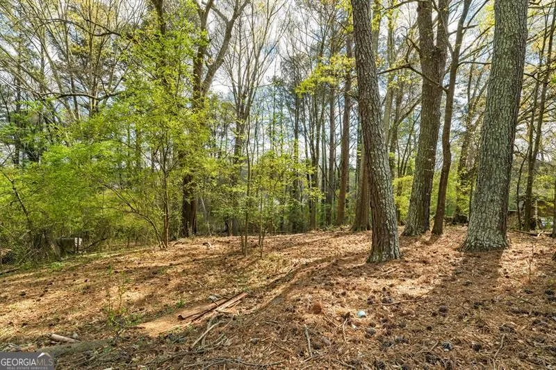 4661 Fowler ST Acworth, GA 30101