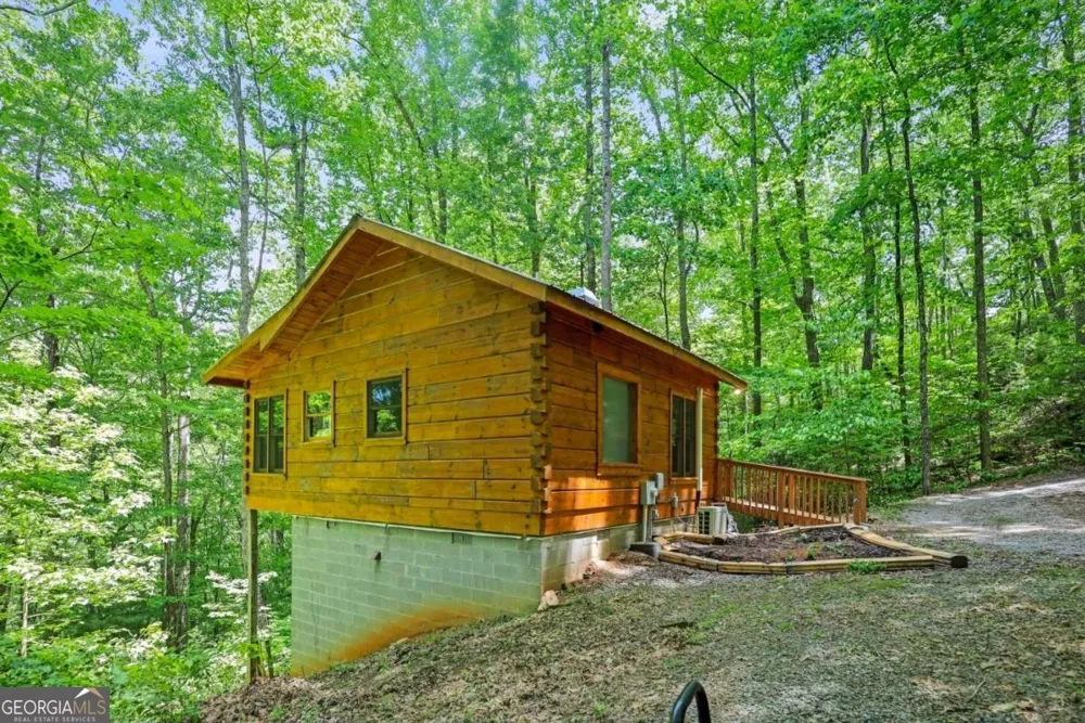 163 Little Rock Creek TRL Cherry Log, GA 30522