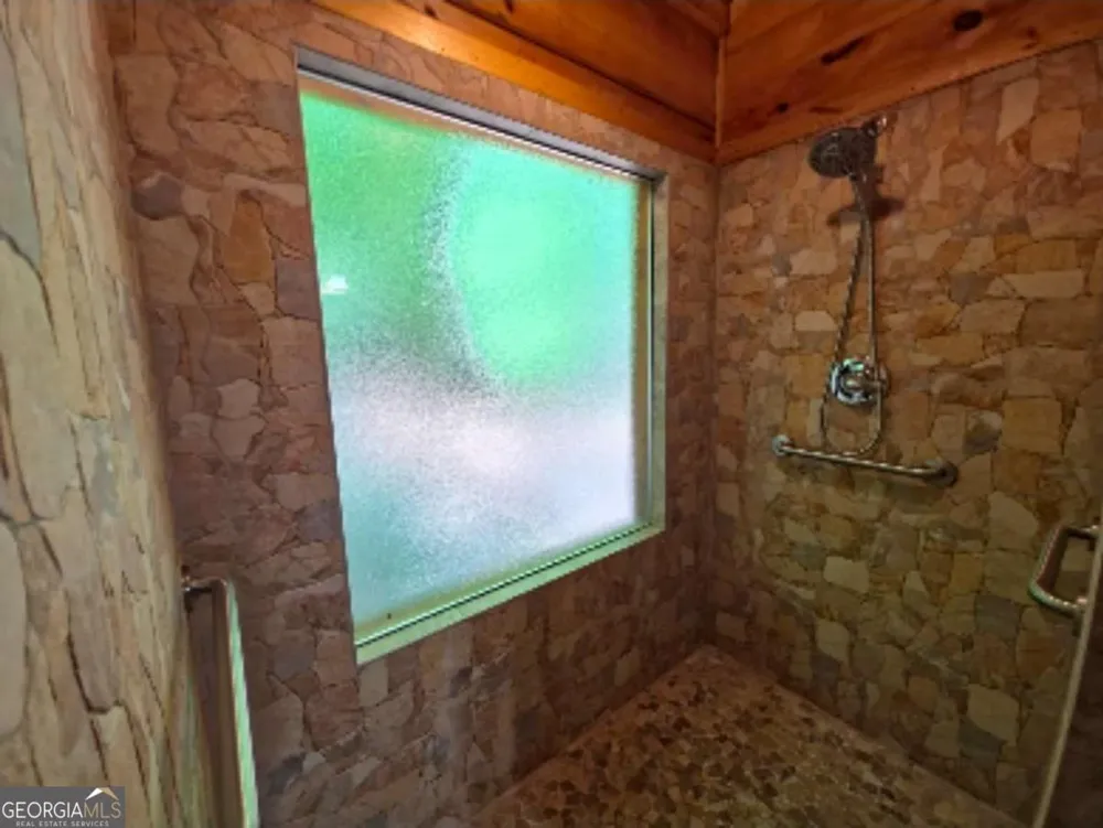163 Little Rock Creek TRL Cherry Log, GA 30522