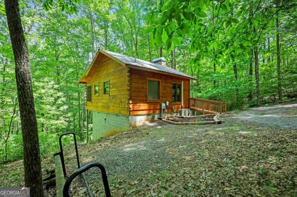 163 Little Rock Creek TRL Cherry Log, GA 30522