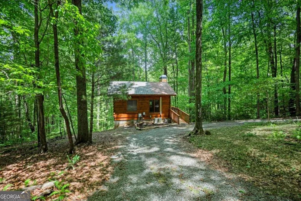 163 Little Rock Creek TRL Cherry Log, GA 30522