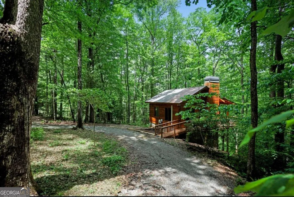 163 Little Rock Creek TRL Cherry Log, GA 30522