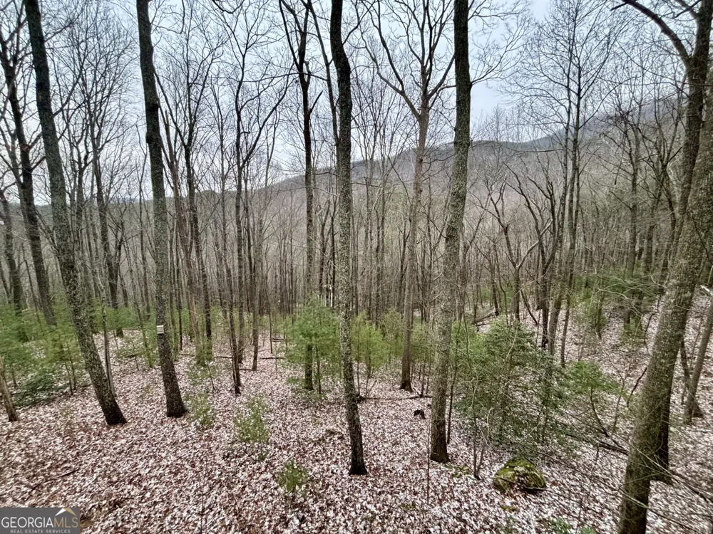 163 Little Rock Creek TRL Cherry Log, GA 30522