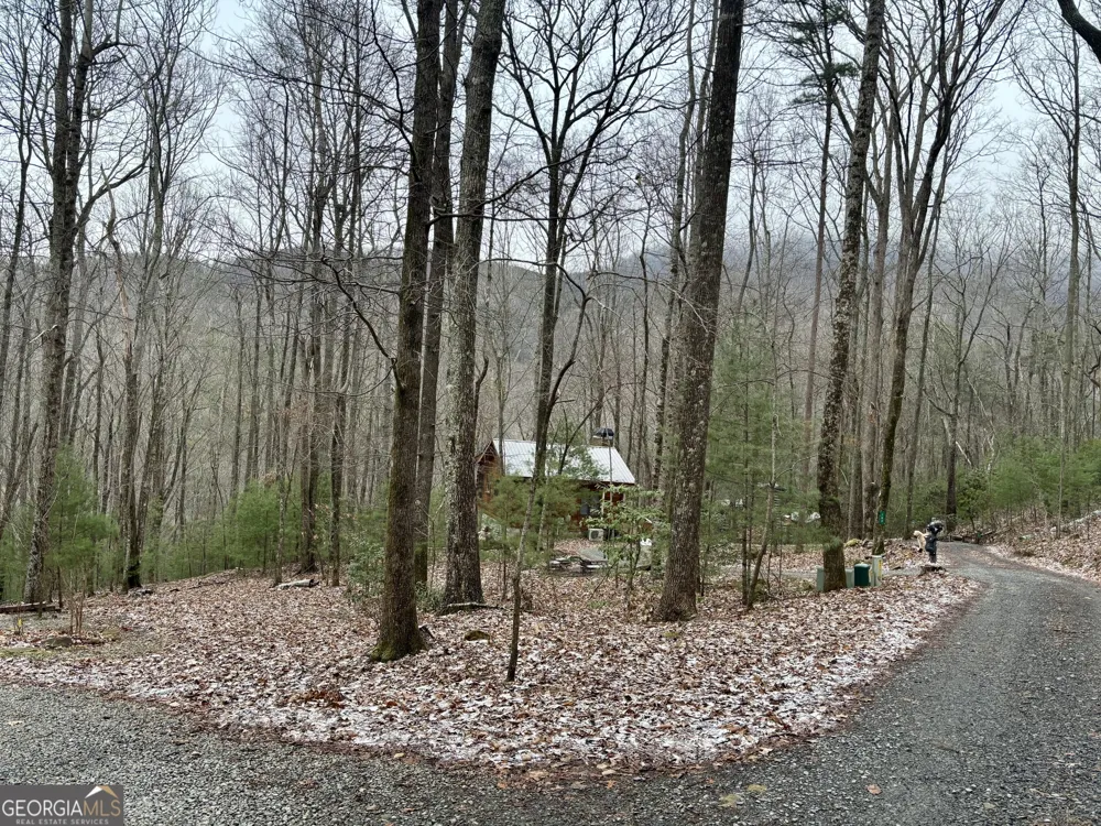 163 Little Rock Creek TRL Cherry Log, GA 30522