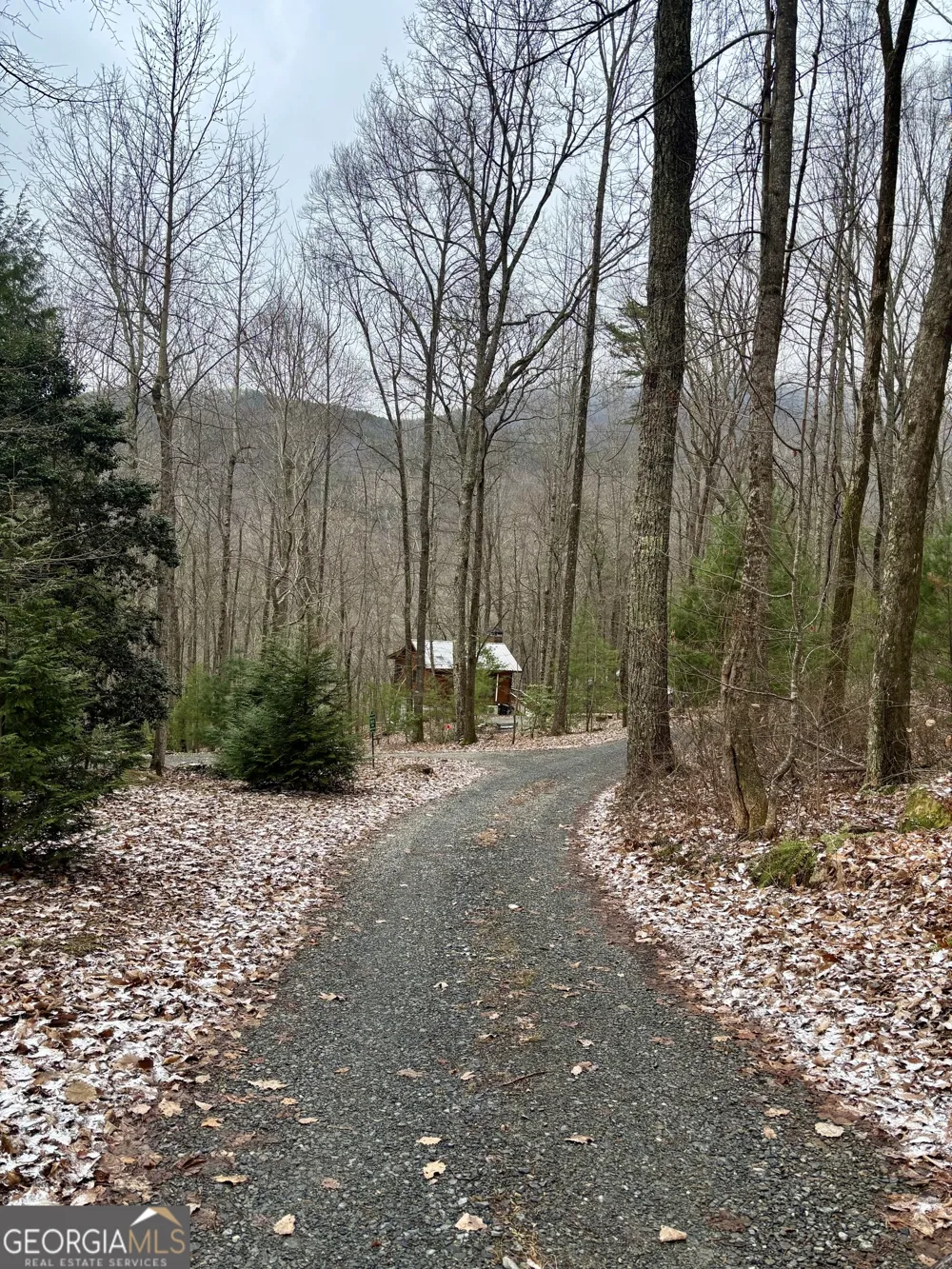 163 Little Rock Creek TRL Cherry Log, GA 30522