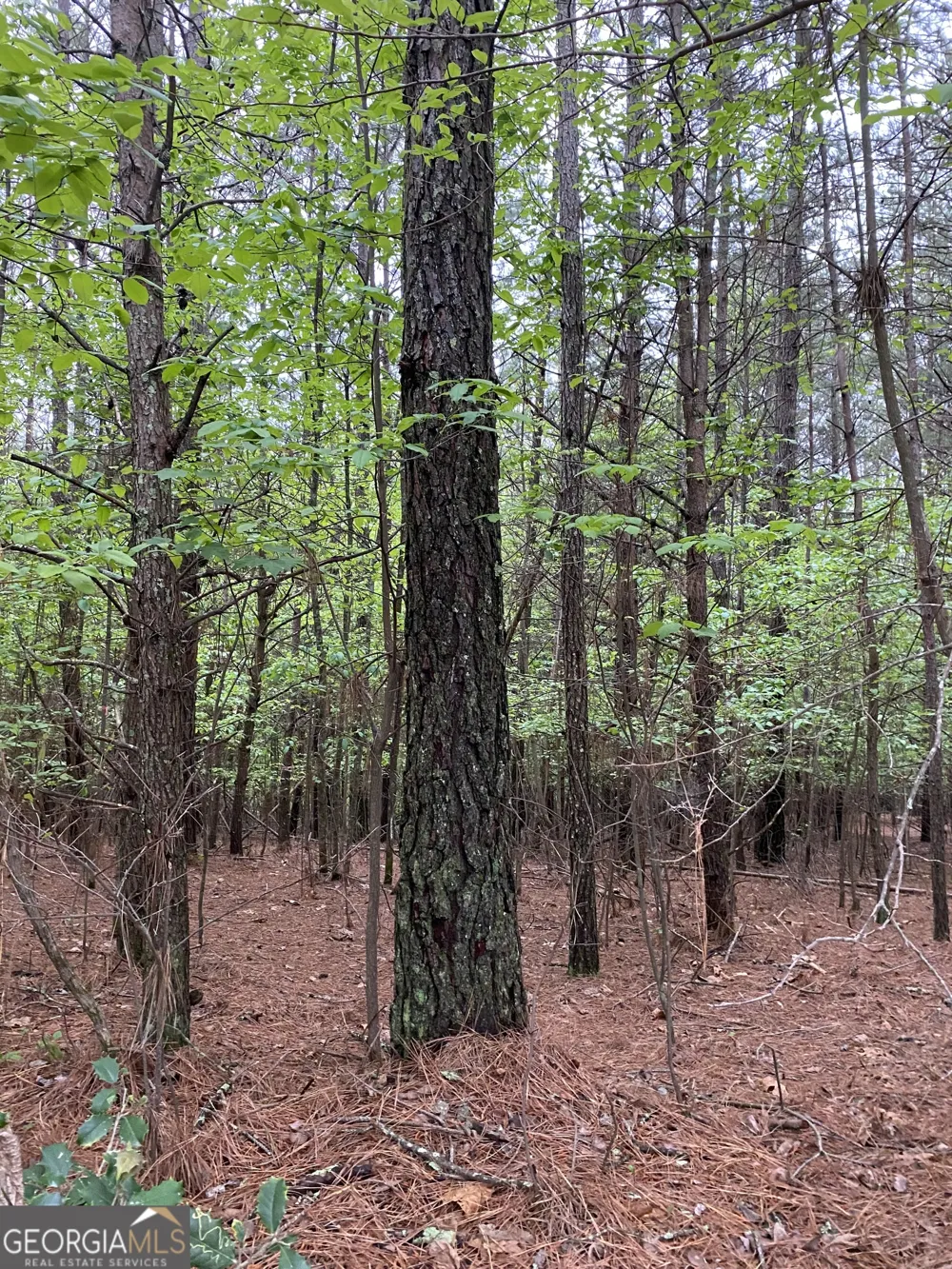 0 Mull DR Mineral Bluff, GA 30559