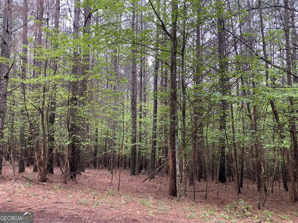 0 Mull DR Mineral Bluff, GA 30559