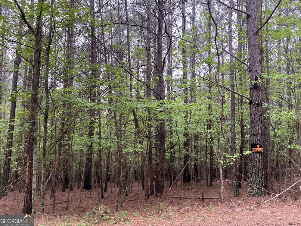 0 Mull DR Mineral Bluff, GA 30559