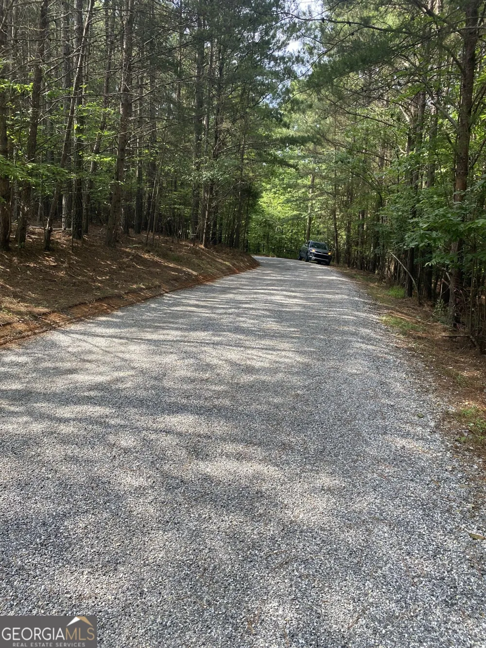 0 Mull DR Mineral Bluff, GA 30559