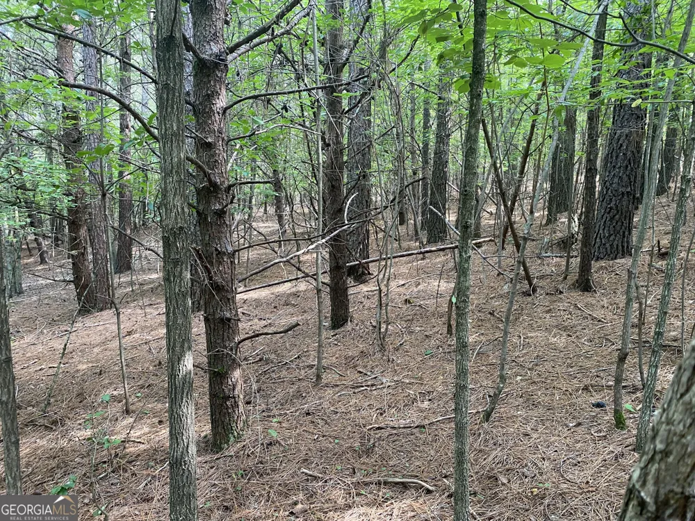 0 Mull DR Mineral Bluff, GA 30559
