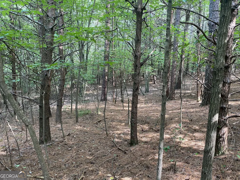 0 Mull DR Mineral Bluff, GA 30559