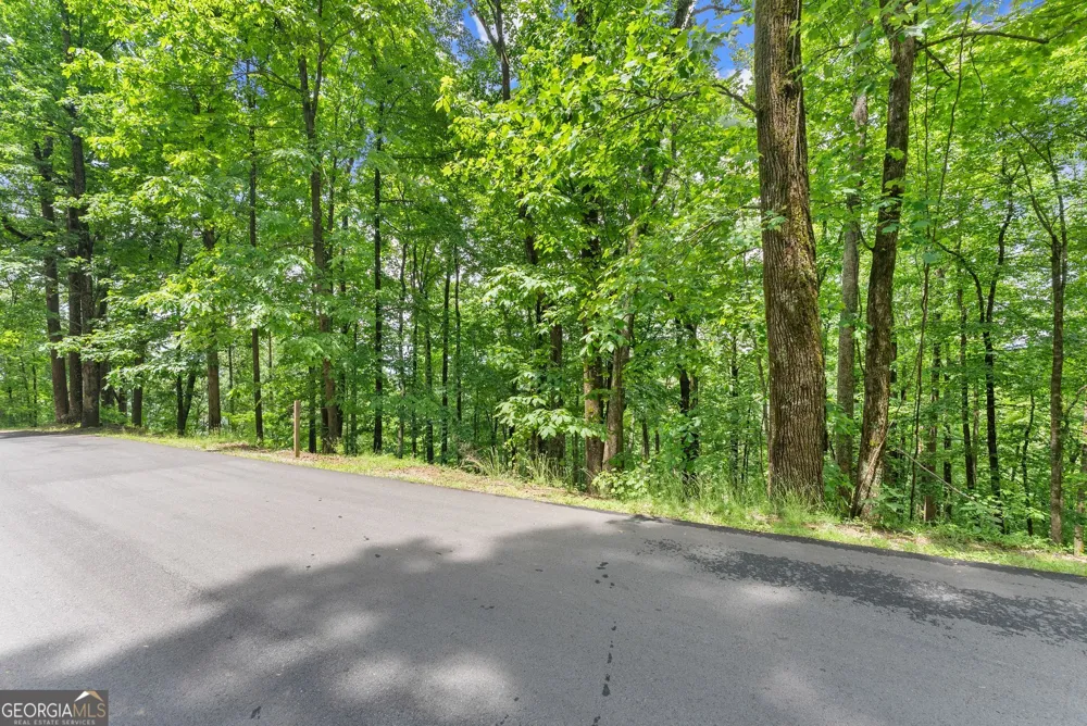 LT 30 Mountainside DR Cleveland, GA 30528
