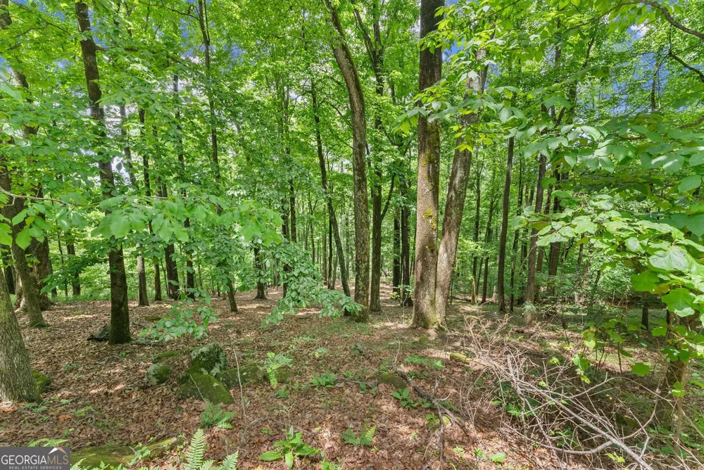 LT 30 Mountainside DR Cleveland, GA 30528