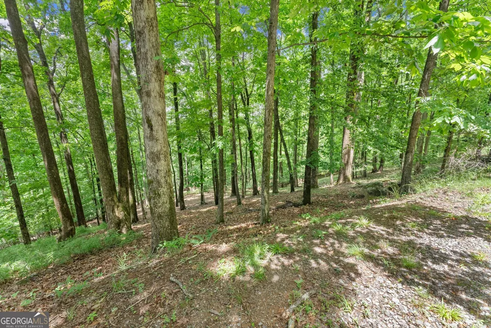 LT 30 Mountainside DR Cleveland, GA 30528