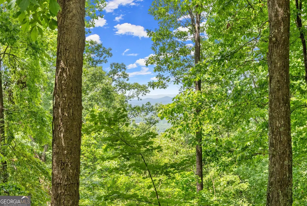 LT 30 Mountainside DR Cleveland, GA 30528