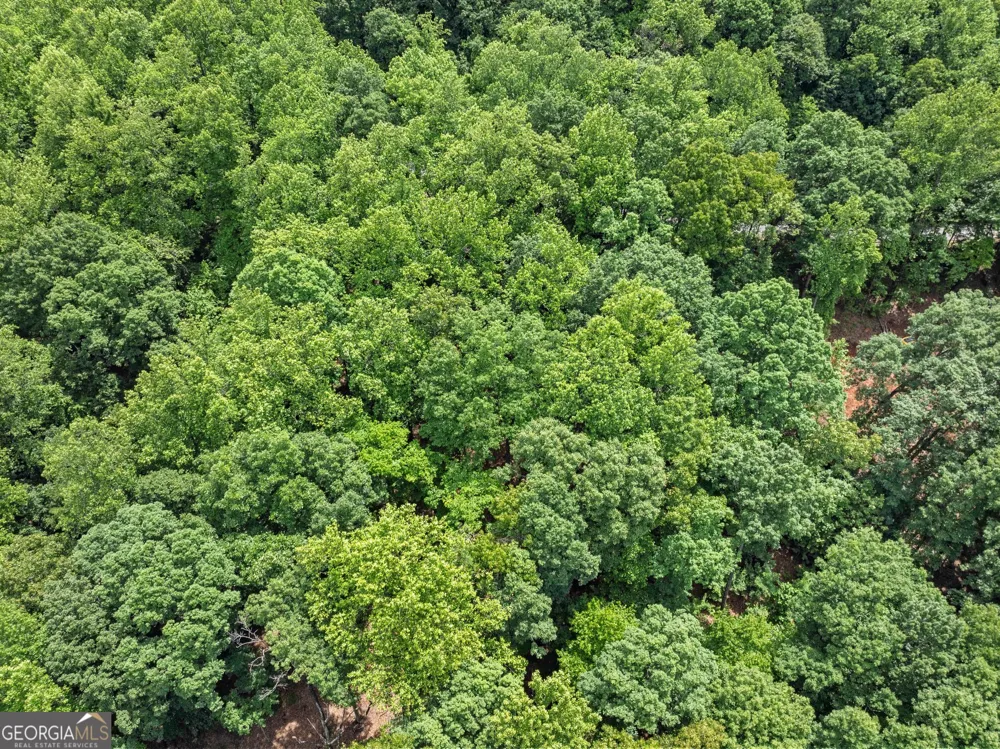 LT 30 Mountainside DR Cleveland, GA 30528