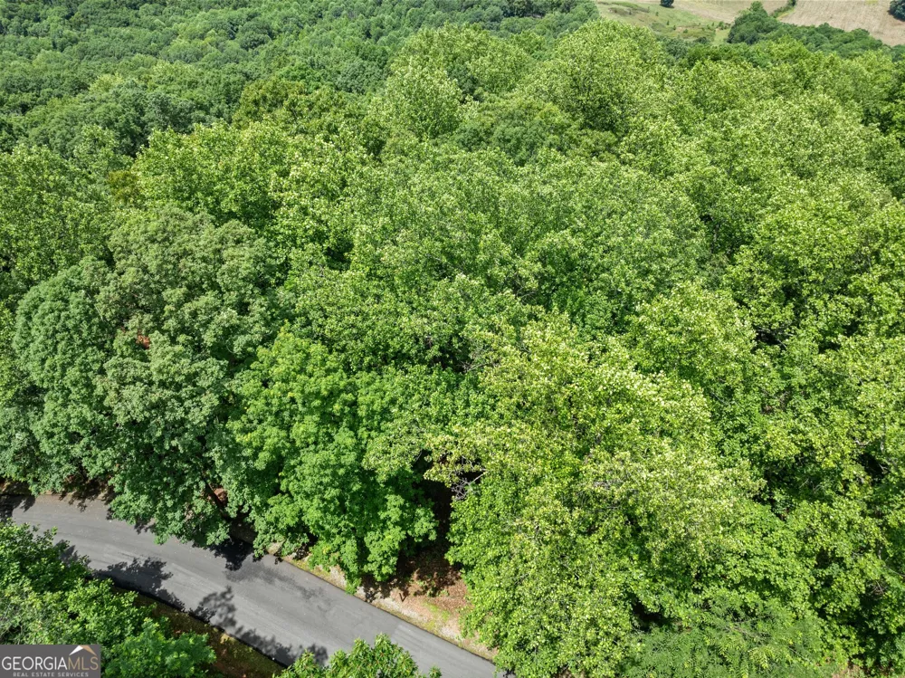 LT 30 Mountainside DR Cleveland, GA 30528