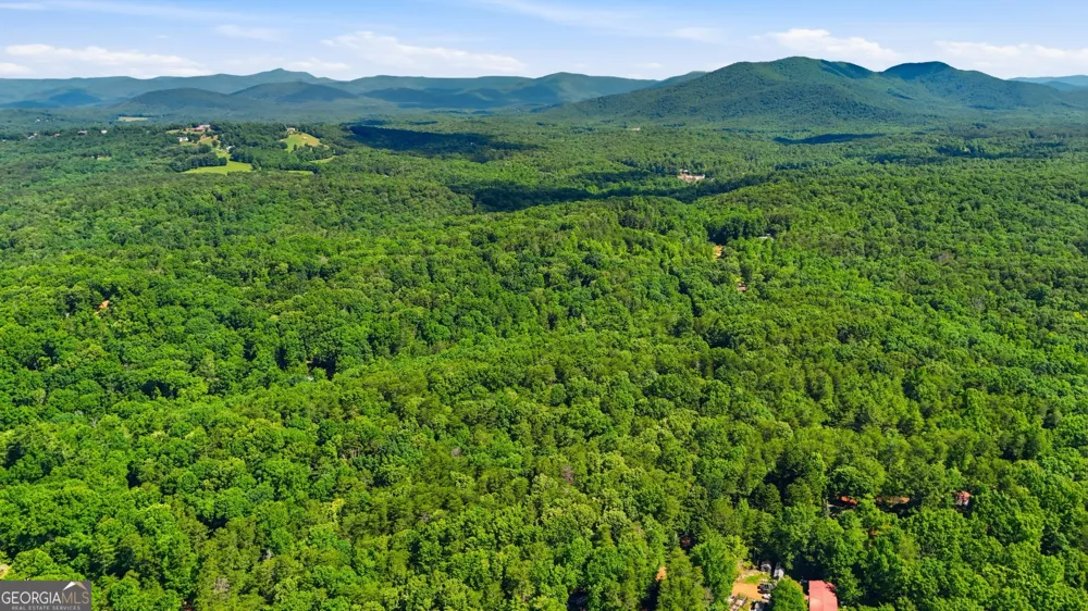 95 Black Bear TRL Cleveland, GA 30528