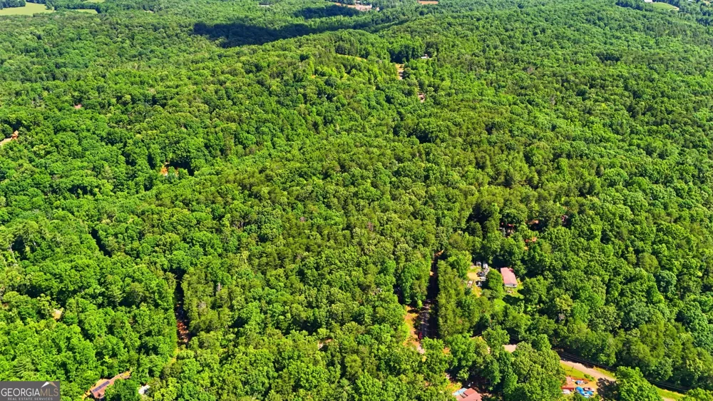 95 Black Bear TRL Cleveland, GA 30528