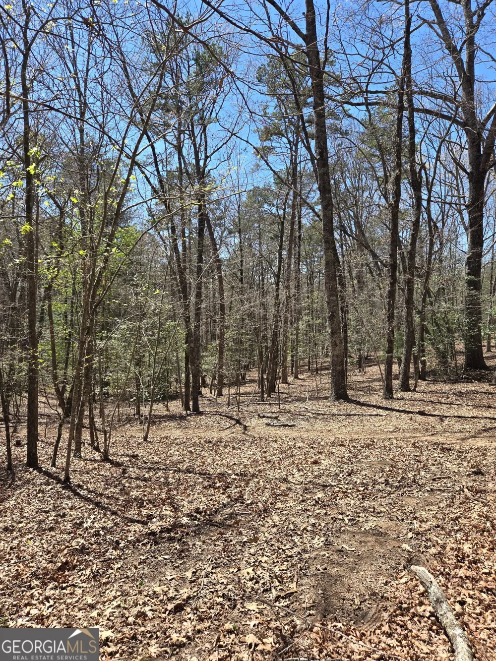 95 Black Bear TRL Cleveland, GA 30528