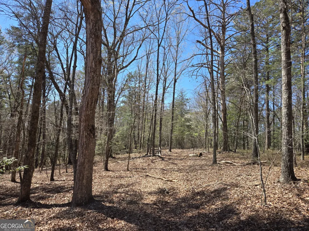 95 Black Bear TRL Cleveland, GA 30528