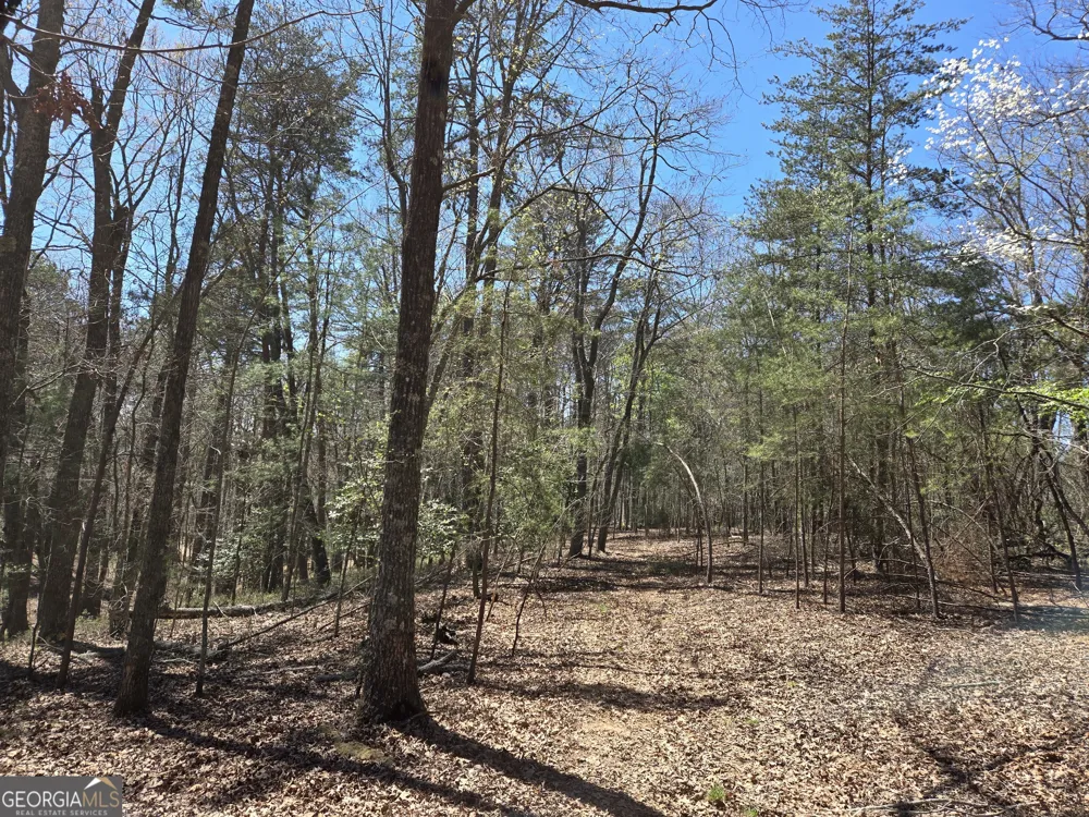95 Black Bear TRL Cleveland, GA 30528