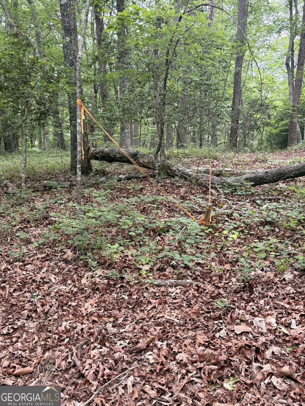 95 Black Bear TRL Cleveland, GA 30528