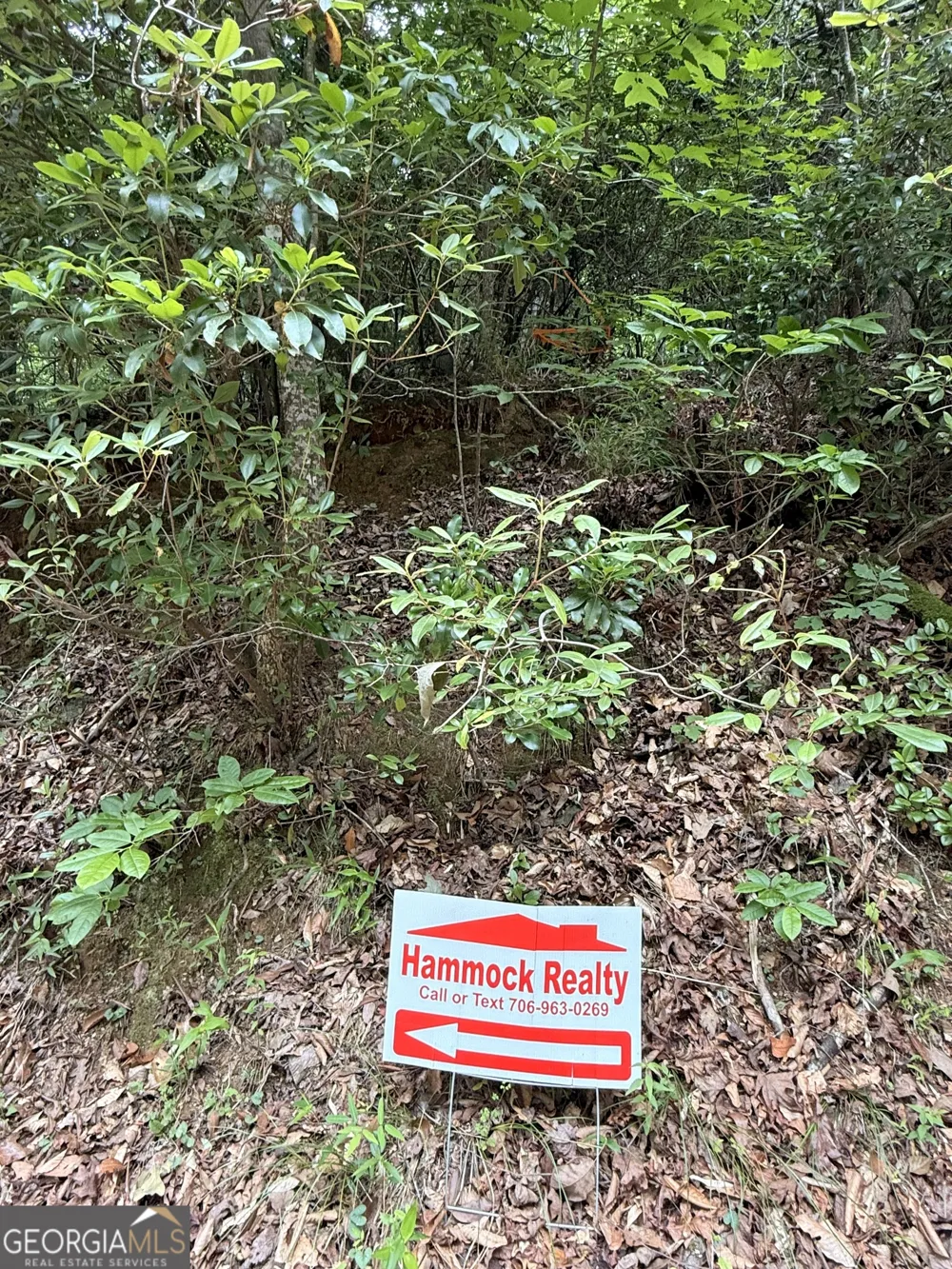 95 Black Bear TRL Cleveland, GA 30528