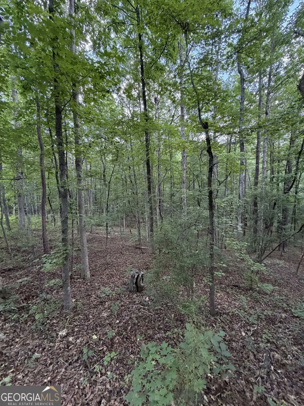 0 SERENITY Cataula, GA 31804
