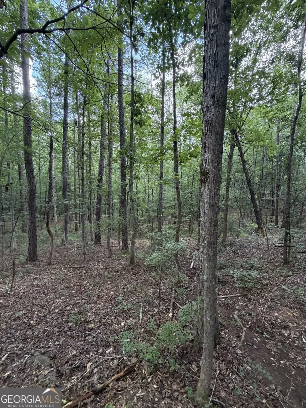 0 SERENITY Cataula, GA 31804