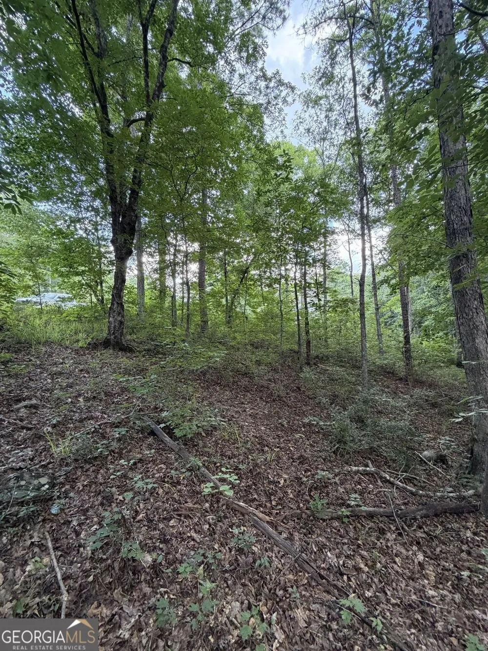 0 SERENITY Cataula, GA 31804